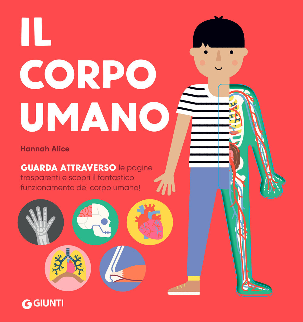 Il corpo umano. Ediz. a colori