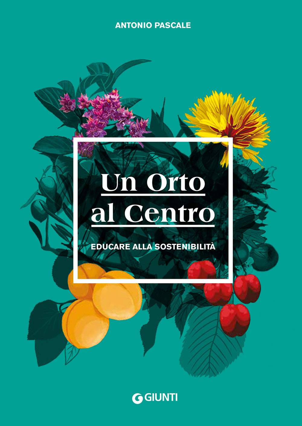 Un orto al centro. Educare alla sostenibilità