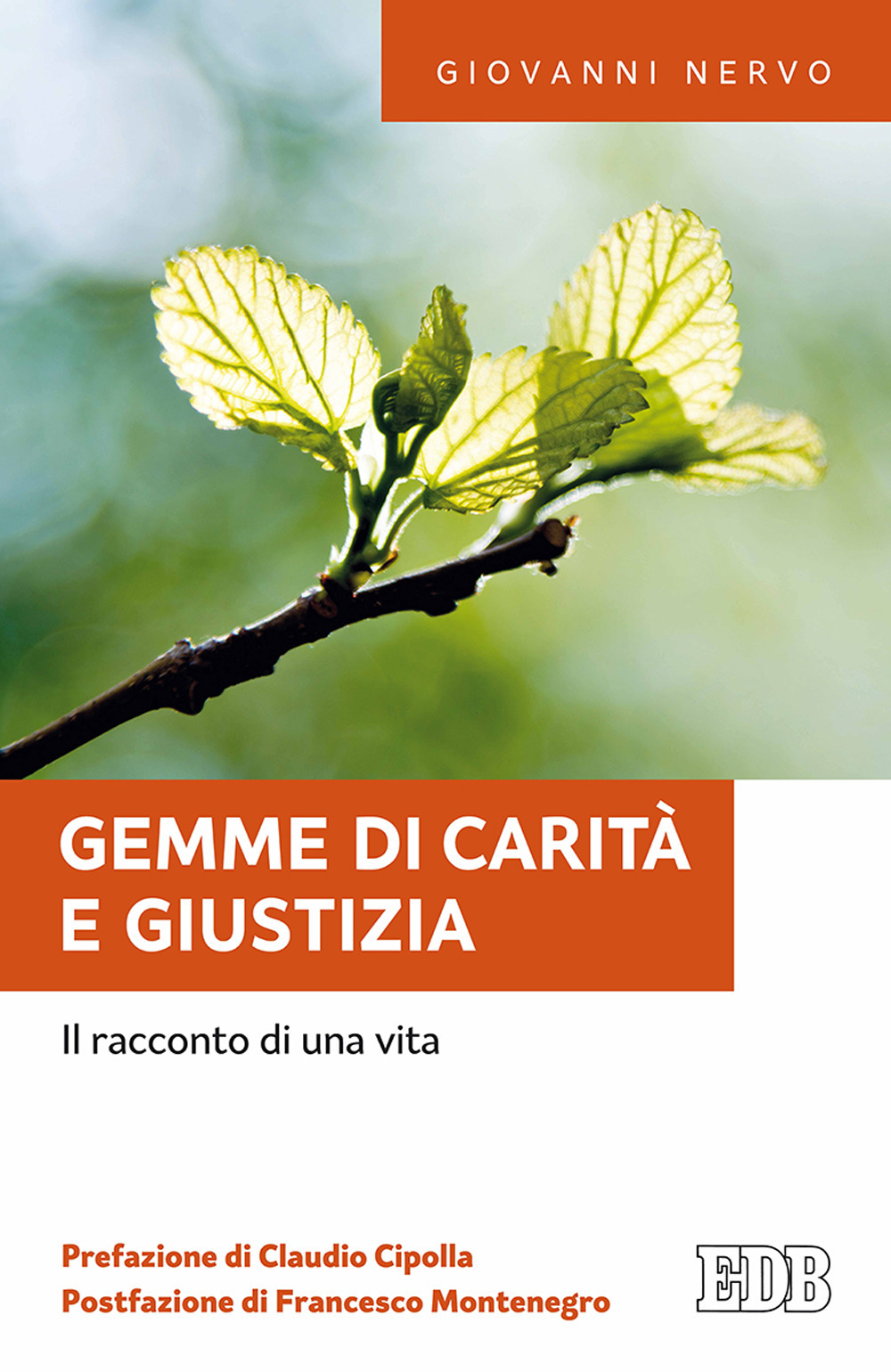 Gemme di carità e giustizia. Il racconto di una vita