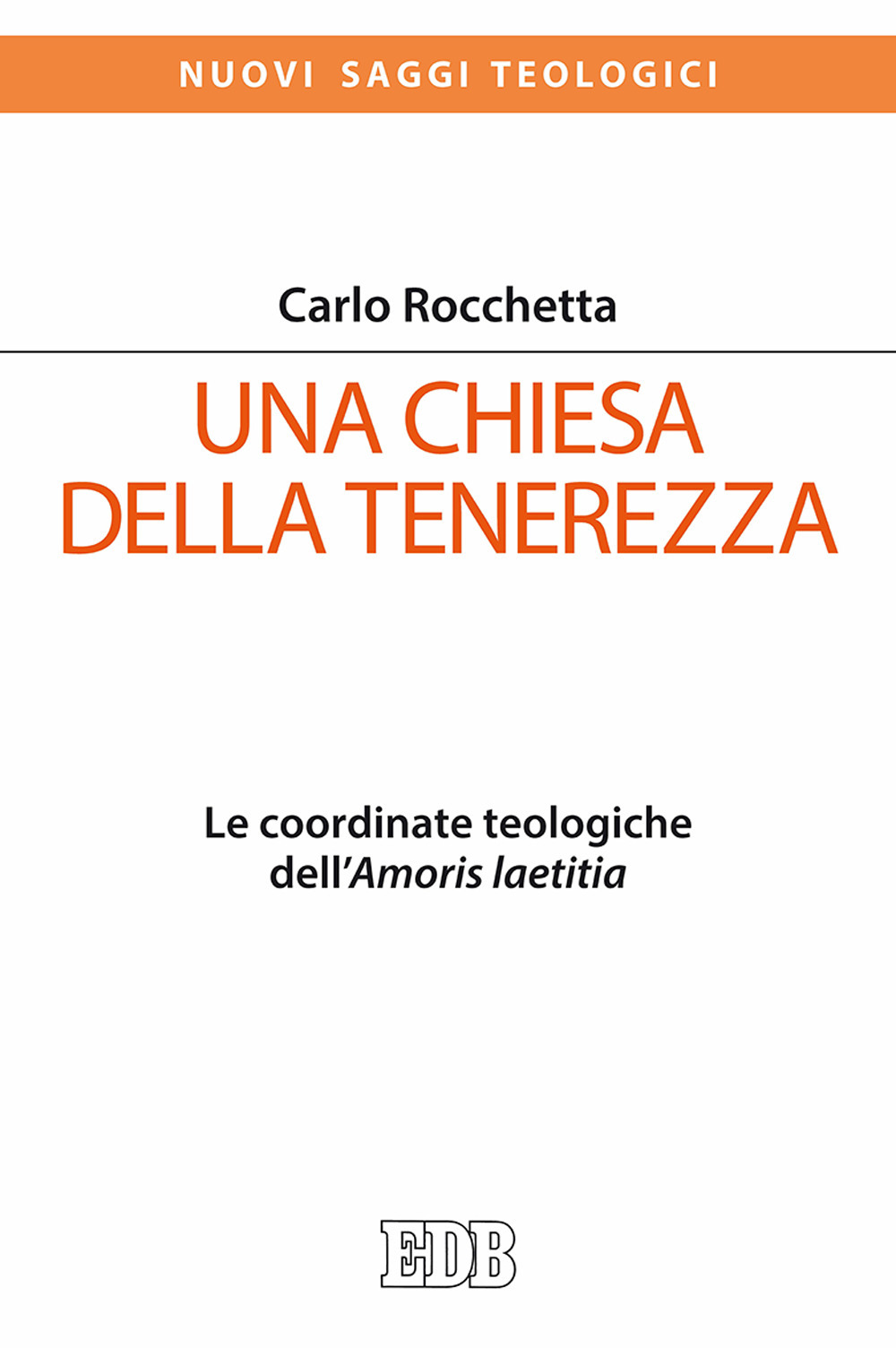 Una Chiesa della tenerezza. Le coordinate teologiche dell'«Amoris laetitia»