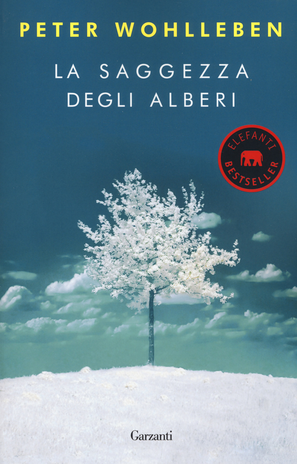 La saggezza degli alberi