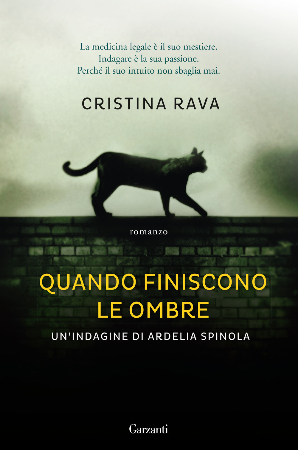 Quando finiscono le ombre. Un'indagine di Ardelia Spinola