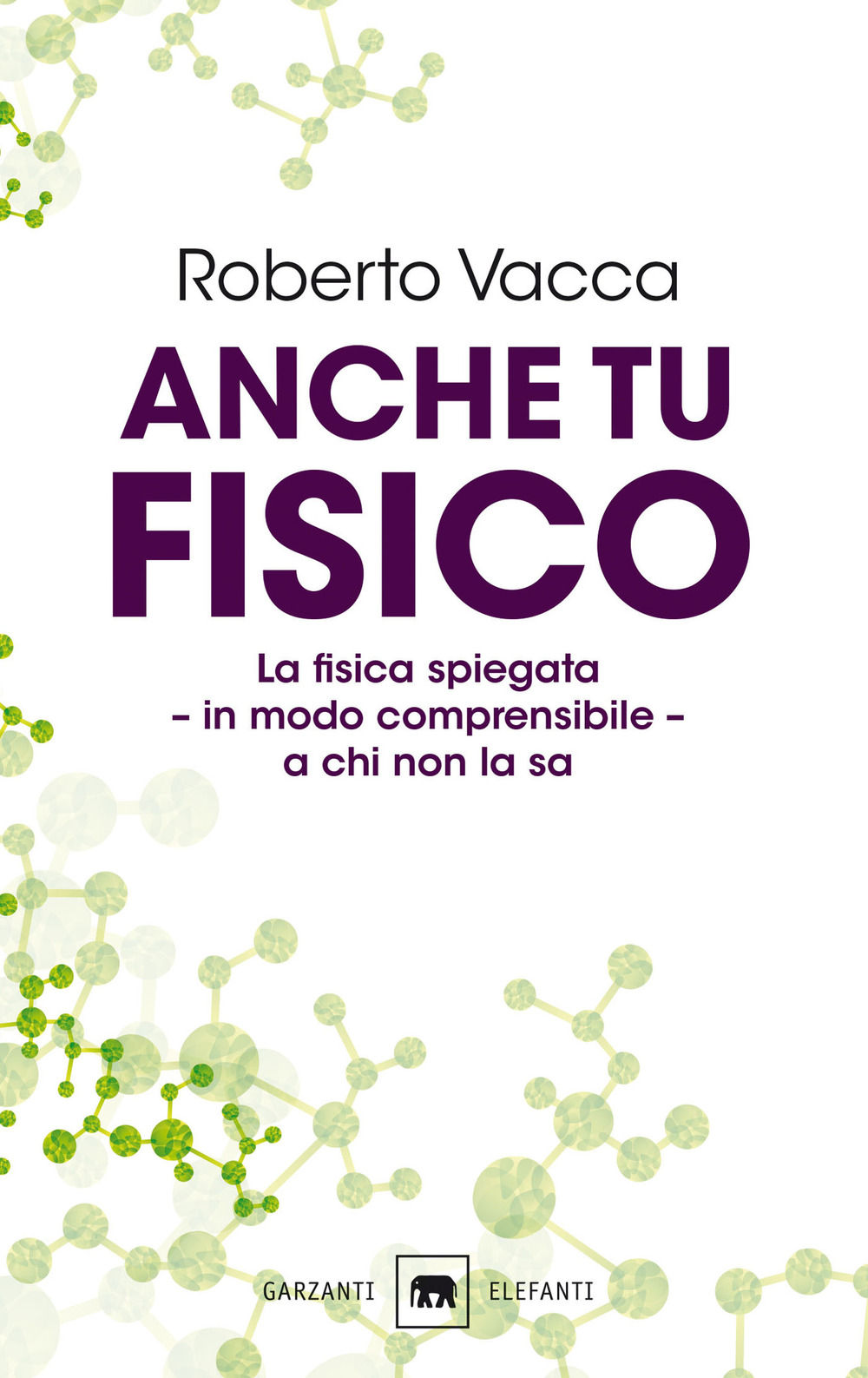 Anche tu fisico. La fisica spiegata in modo comprensibile a chi non la sa