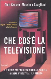 Che cos'è la televisione. Il piccolo schermo fra cultura e società: i generi, l'industria, il pubblico