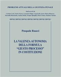 Violenza autonoma della formula giusto processo in costruzione