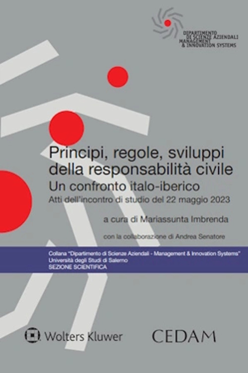 Principi, regole, sviluppi della responsabilità civile
