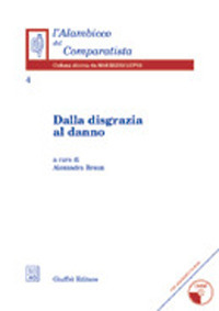 Dalla disgrazia al danno. Con CD-ROM