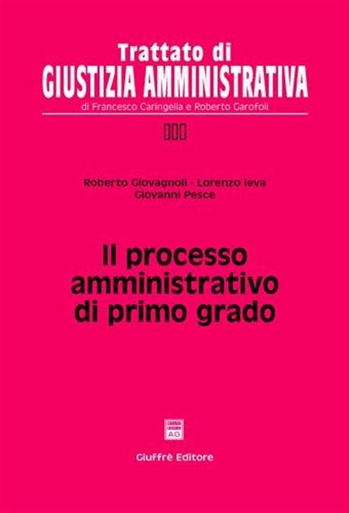 Il processo amministrativo di primo grado