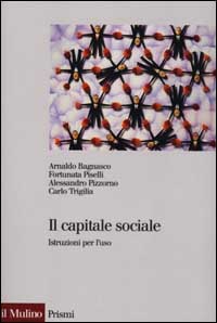 Il capitale sociale. Istruzione per l'uso