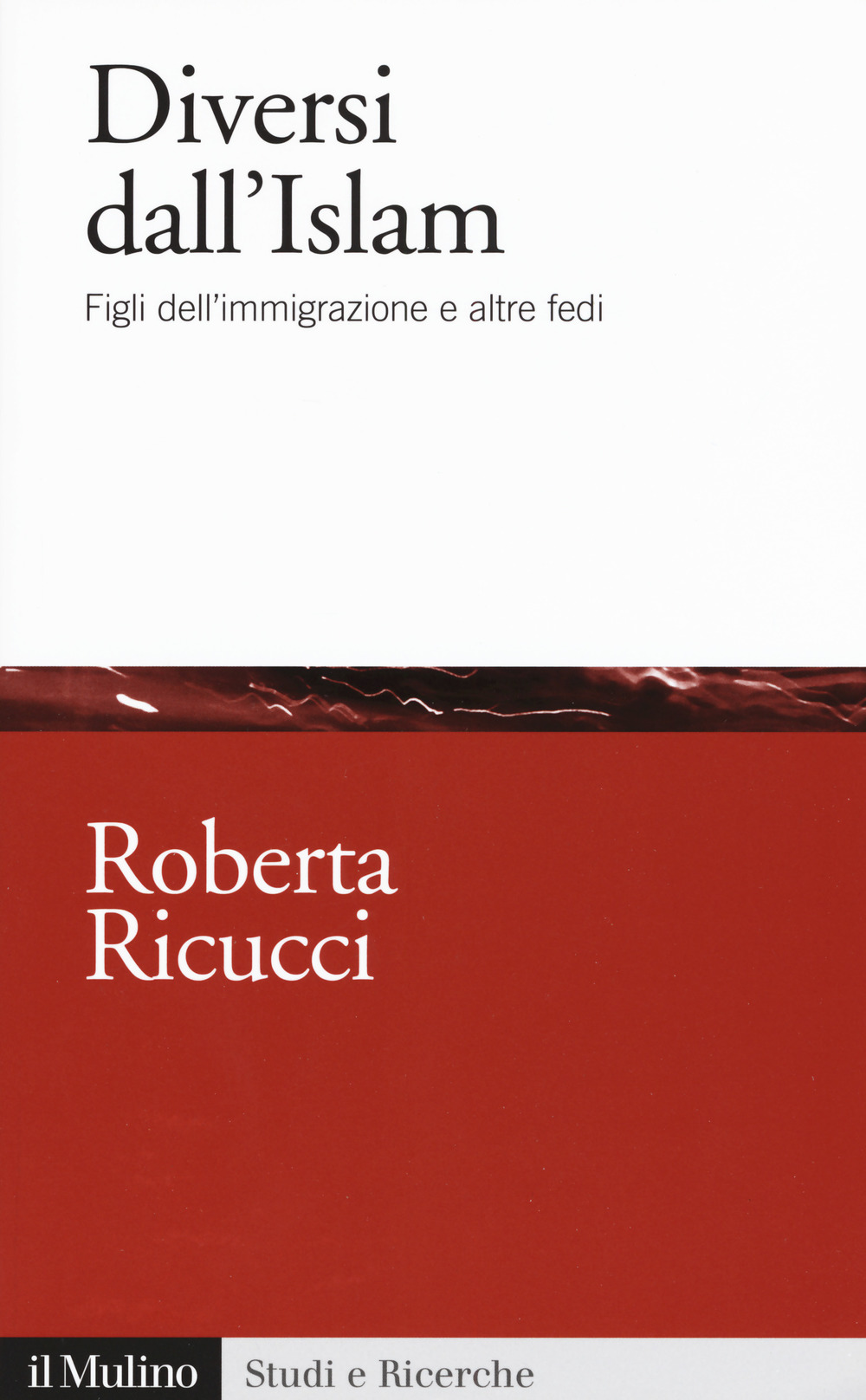 Diversi dall'Islam. Figli dell'immigrazione e altre fedi