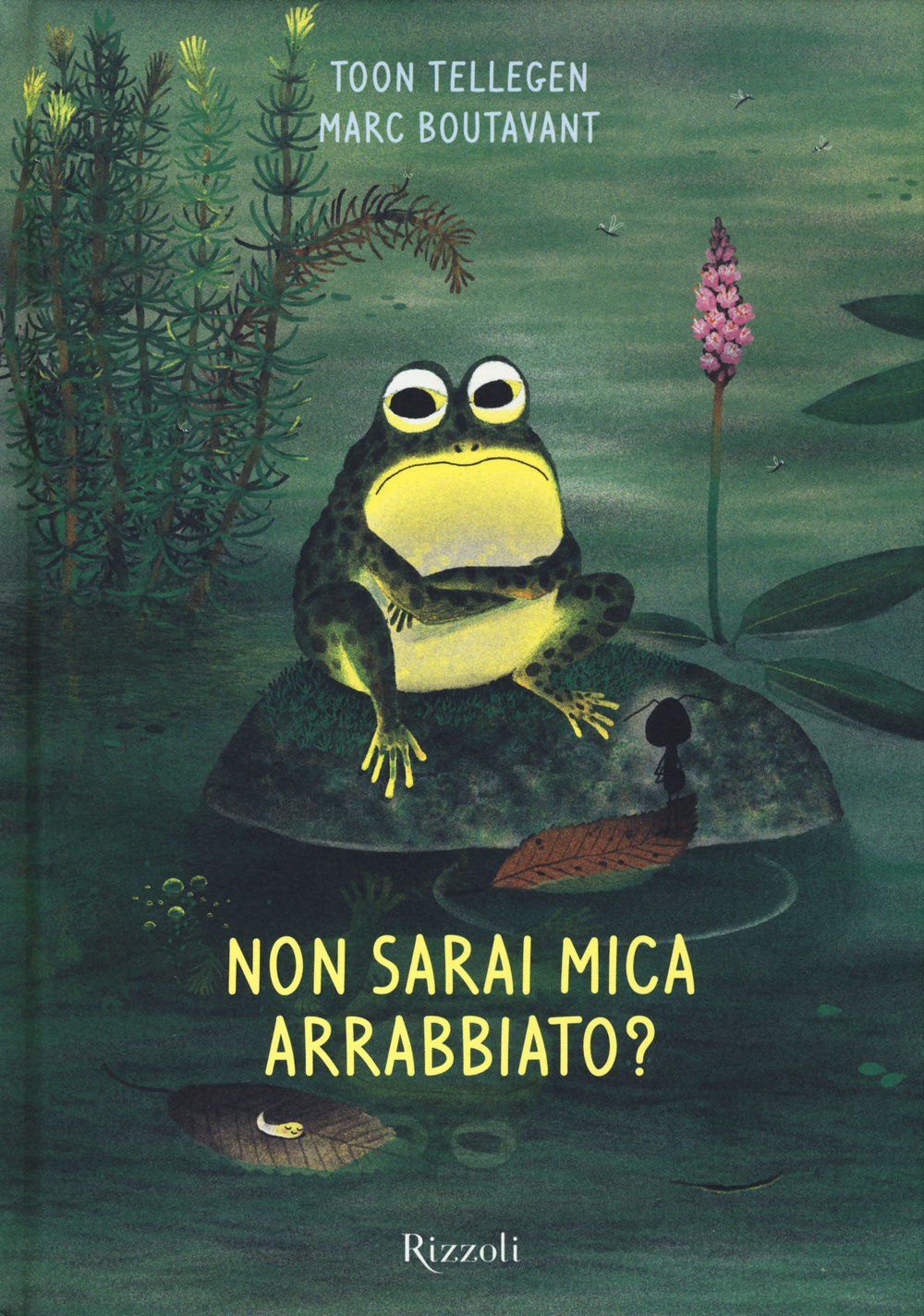 Non sarai mica arrabbiato? Ediz. illustrata