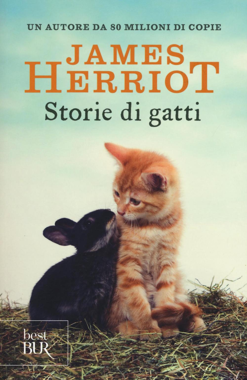 Storie di gatti