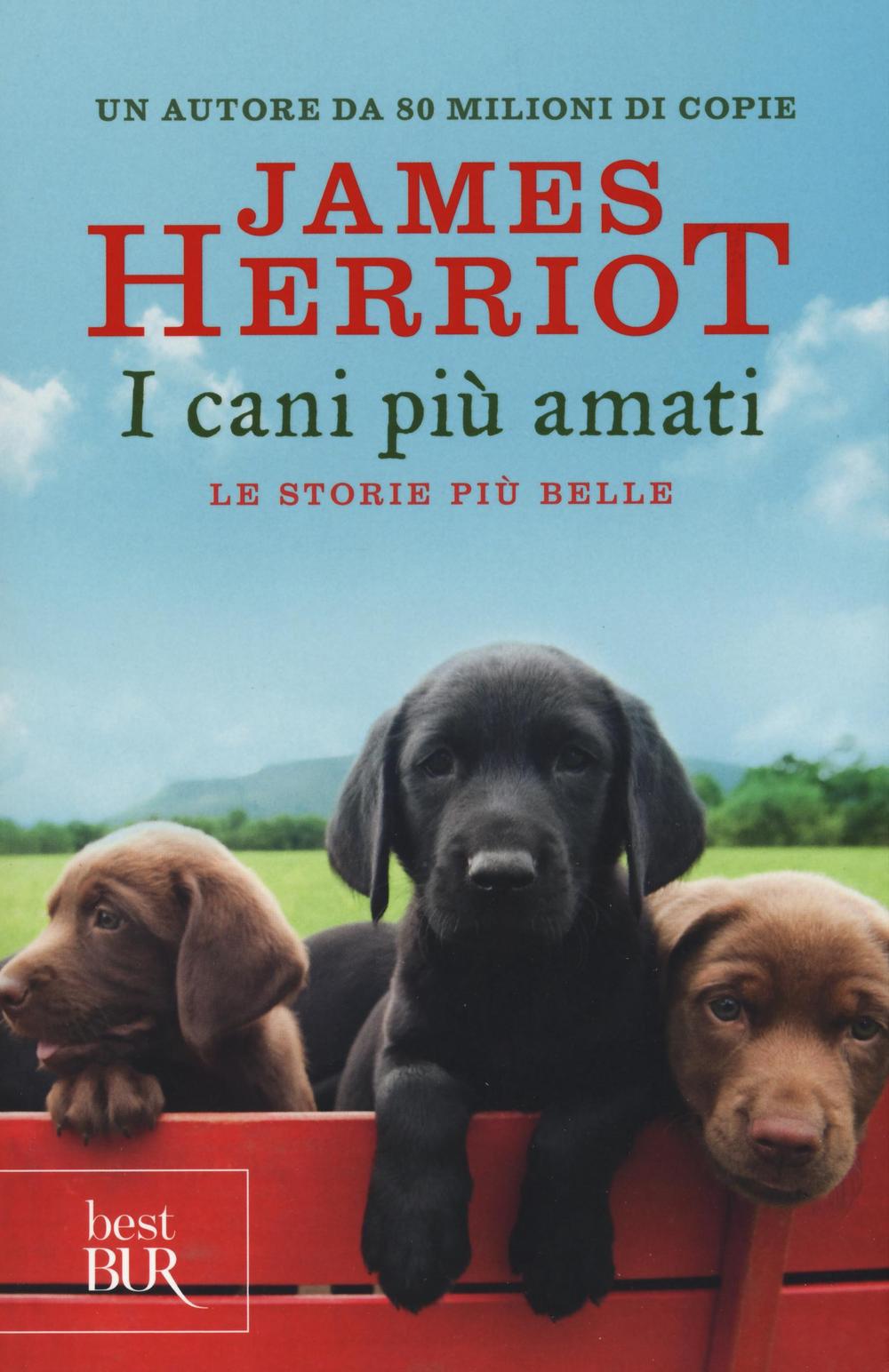 CANI PIÙ AMATI. LE STORIE PIÙ BELLE (I) - 9788817090445