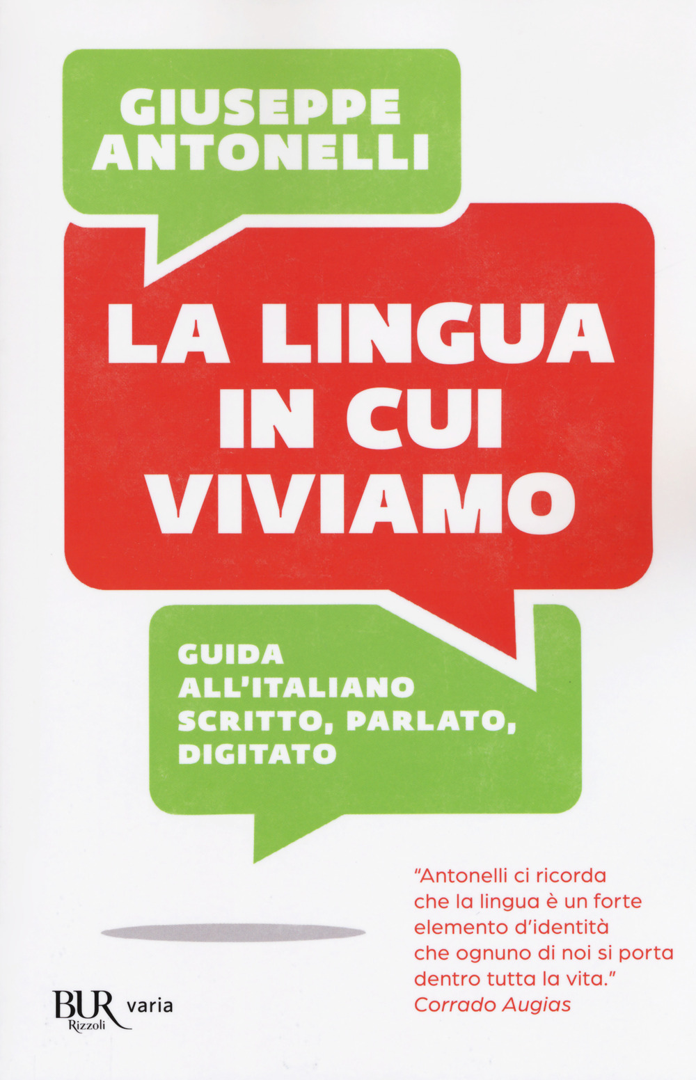 La lingua in cui viviamo. Guida all'italiano scritto, parlato, digitato