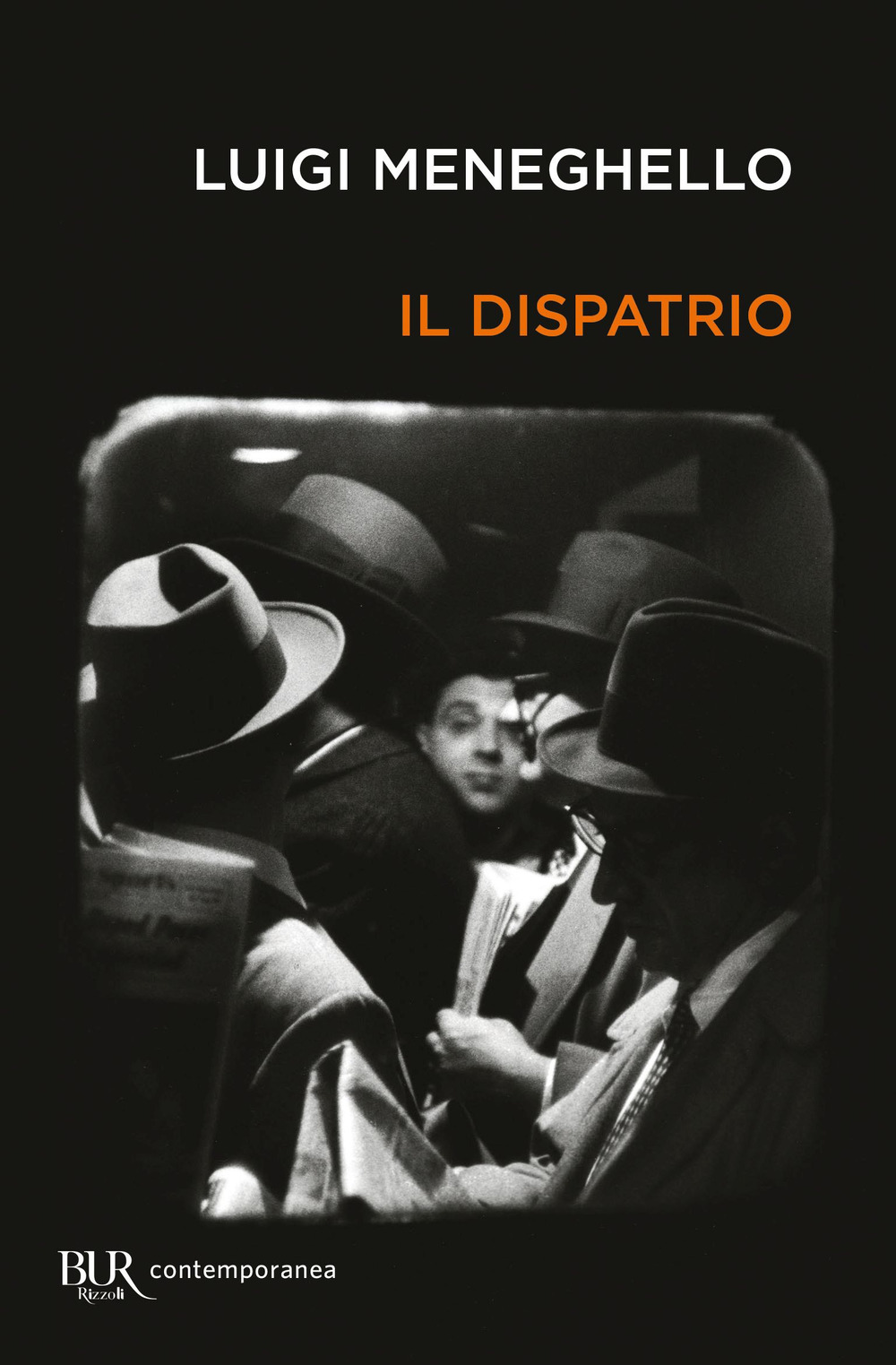 Il dispatrio