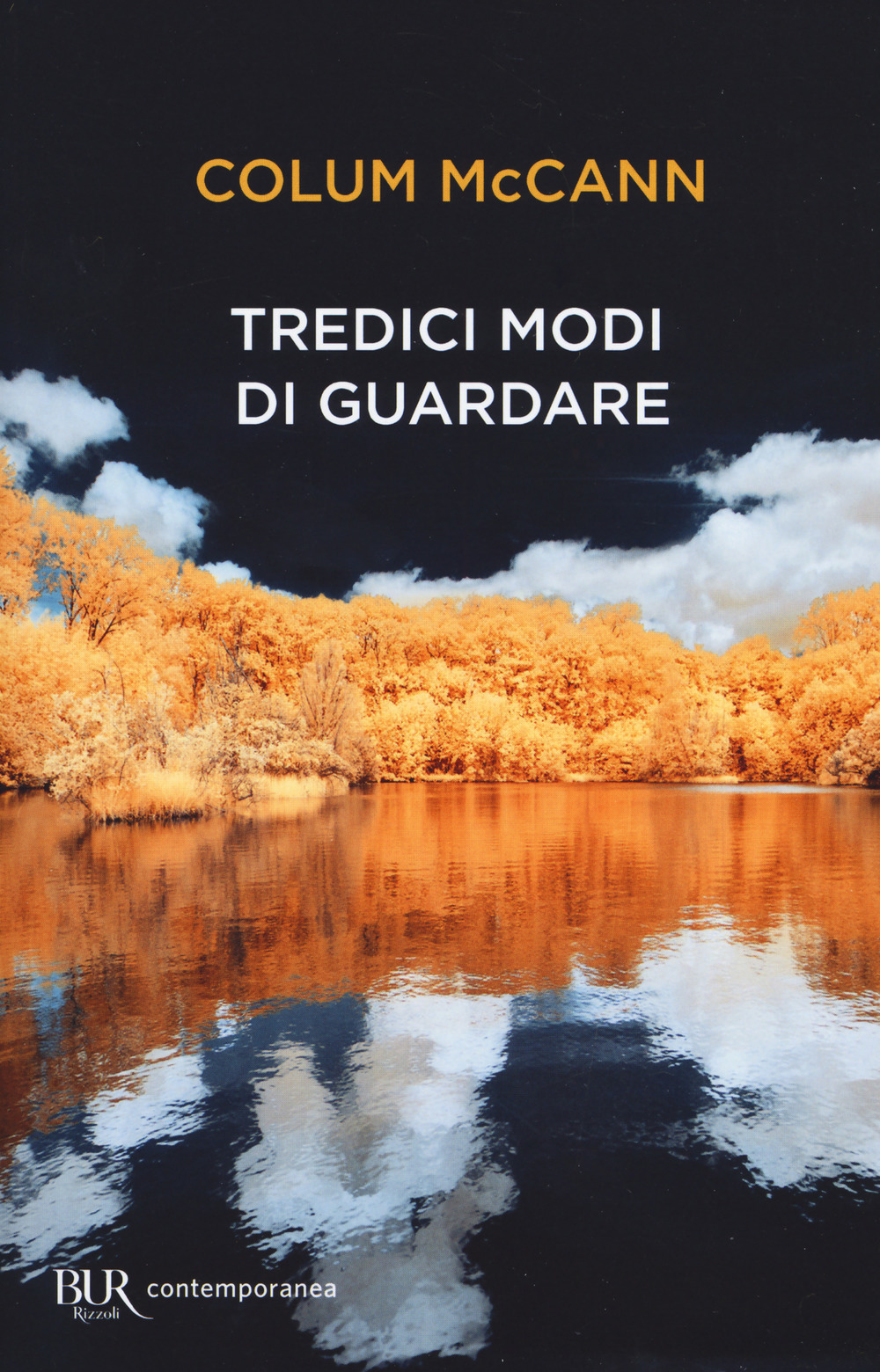 Tredici modi di guardare