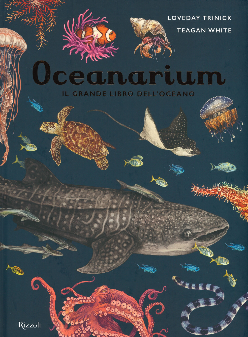 Oceanarium. Il grande libro dell'oceano