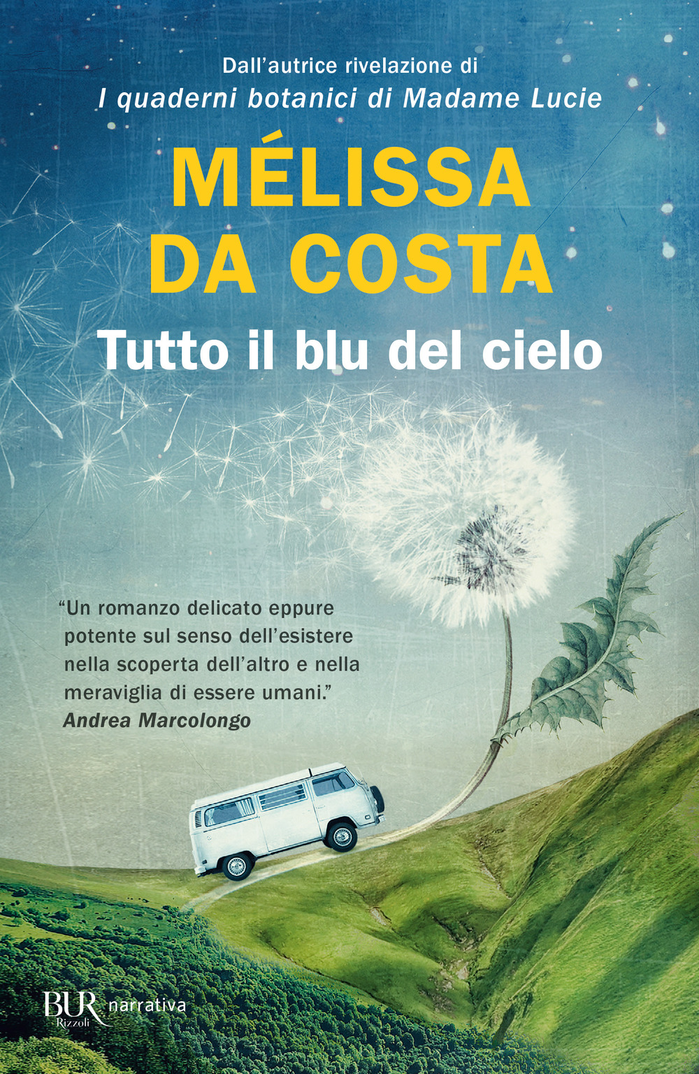 Tutto il blu del cielo