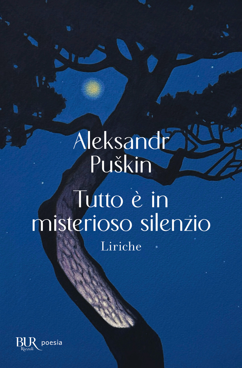 Tutto è in misterioso silenzio. Liriche