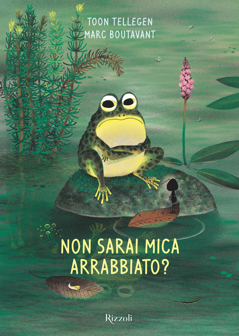 Non sarai mica arrabbiato? Ediz. illustrata