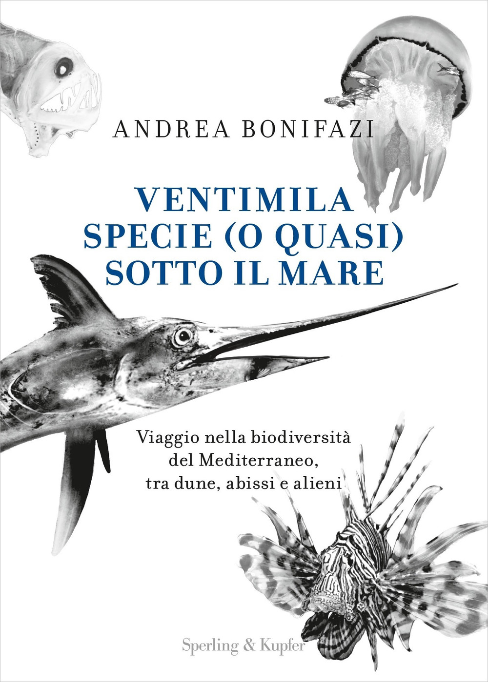 Ventimila specie (o quasi) sotto il mare. Viaggio nella biodiversità del Mediterraneo, tra dune, abissi e alieni