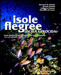 Isole flegree (Ischia e Procida). Batimetria dei fondali marini della Campania con carta allegata 1:30.000