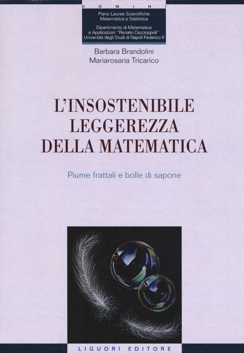 L'insostenibile leggerezza della matematica. Piume frattali e bolle di sapone