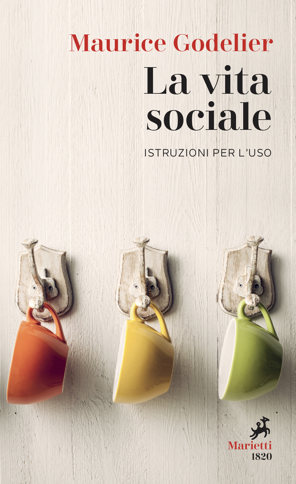 La vita sociale. Istruzioni per l'uso