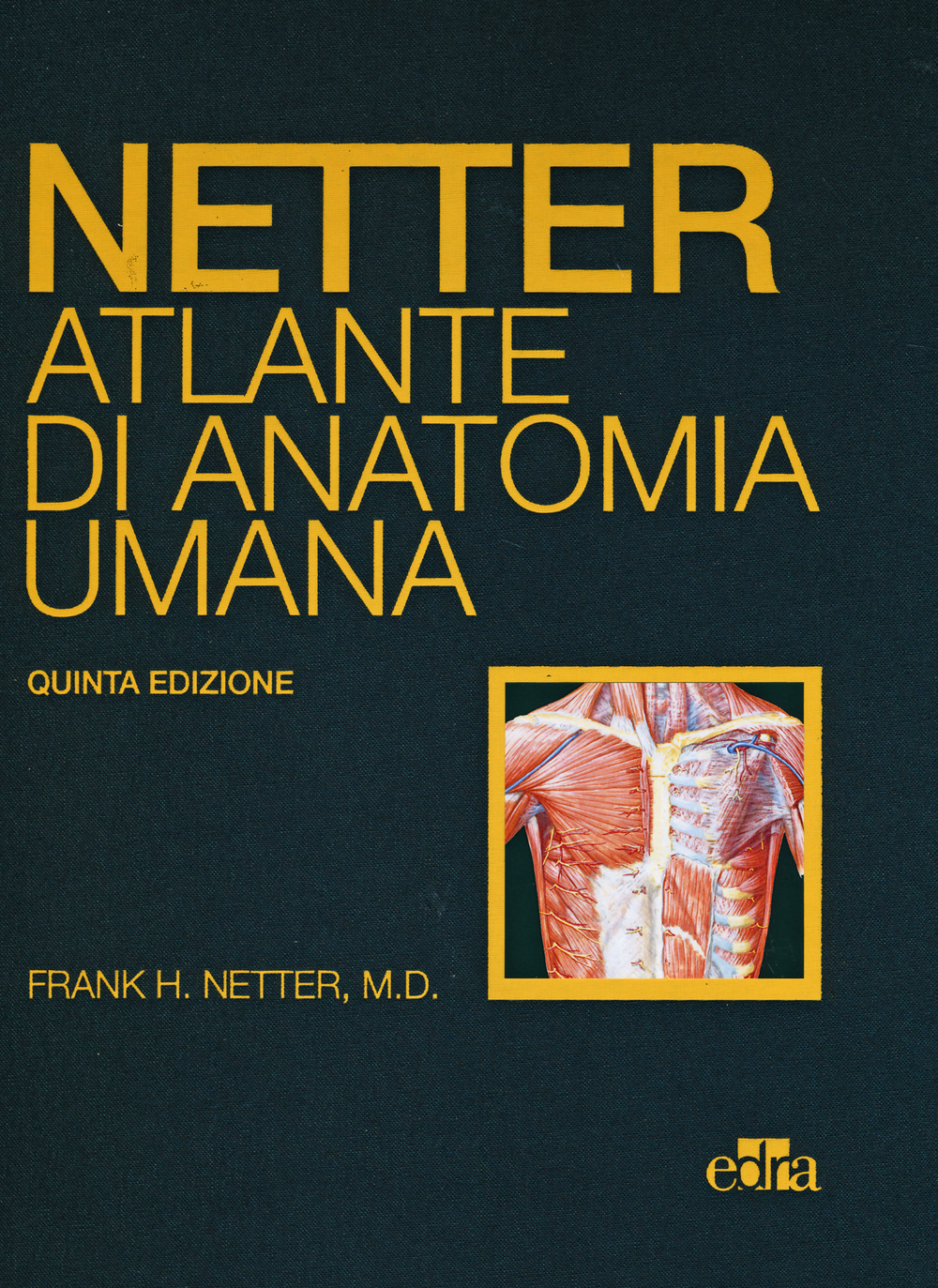 Netter. Atlante di anatomia umana