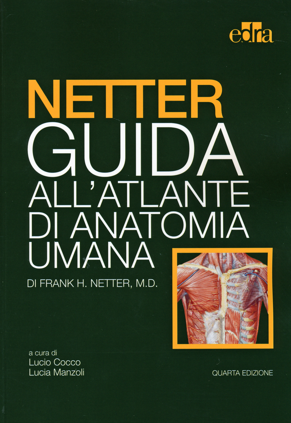 Netter. Guida all'atlante di anatomia umana