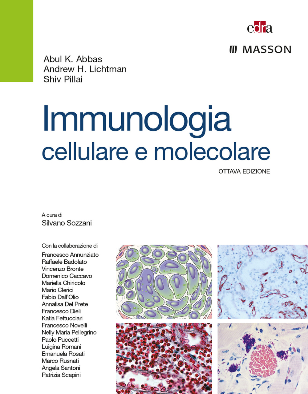Immunologia cellulare e molecolare. Ediz. illustrata