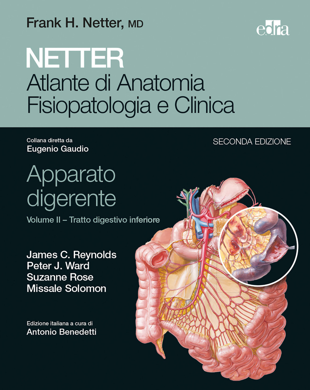 Netter. Atlante di anatomia fisiopatologia e clinica. Apparato digerente. Vol. 2: Tratto digestivo inferiore