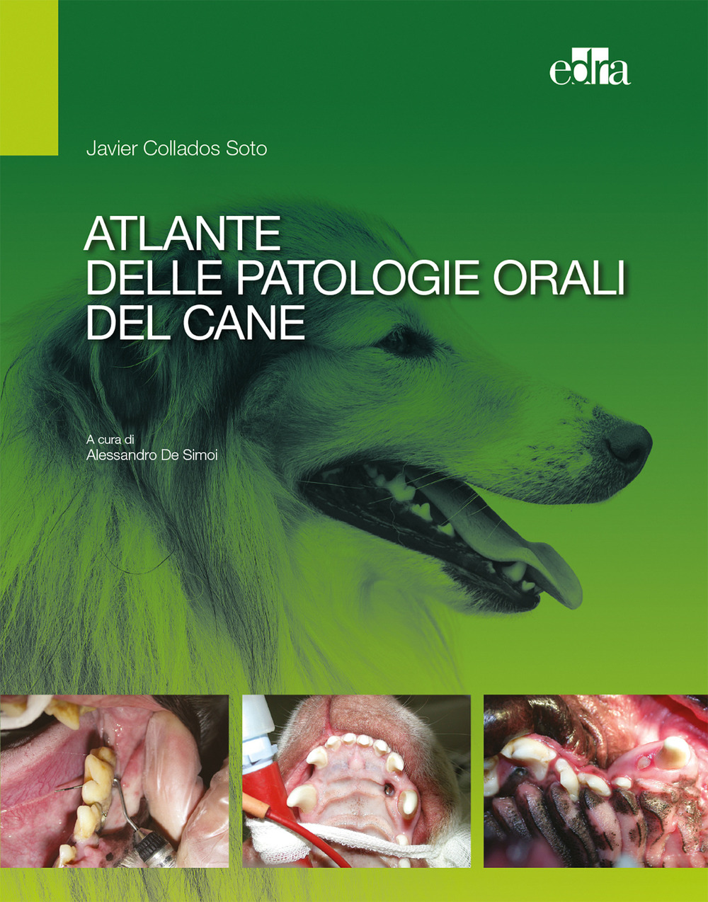 Atlante delle patologie orali del cane