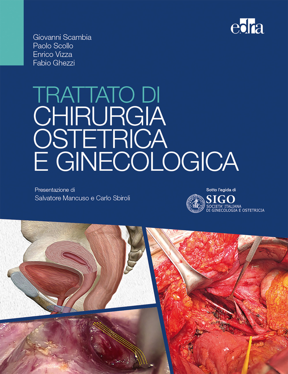 Trattato di chirurgia ostetrica e ginecologica