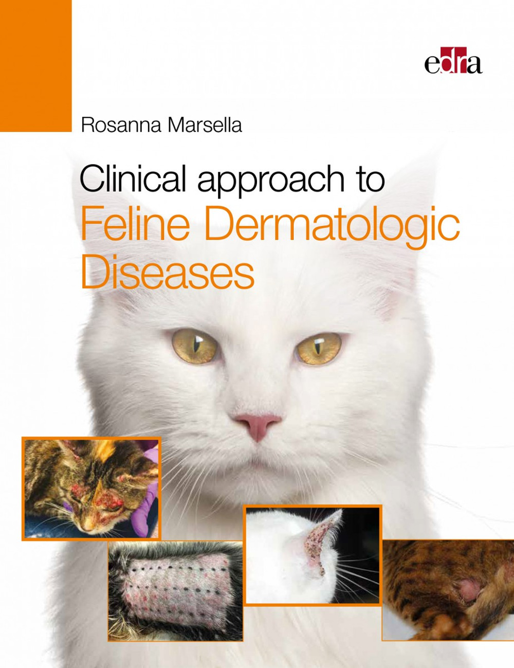 Clinical approach to feline dermatologic diseases