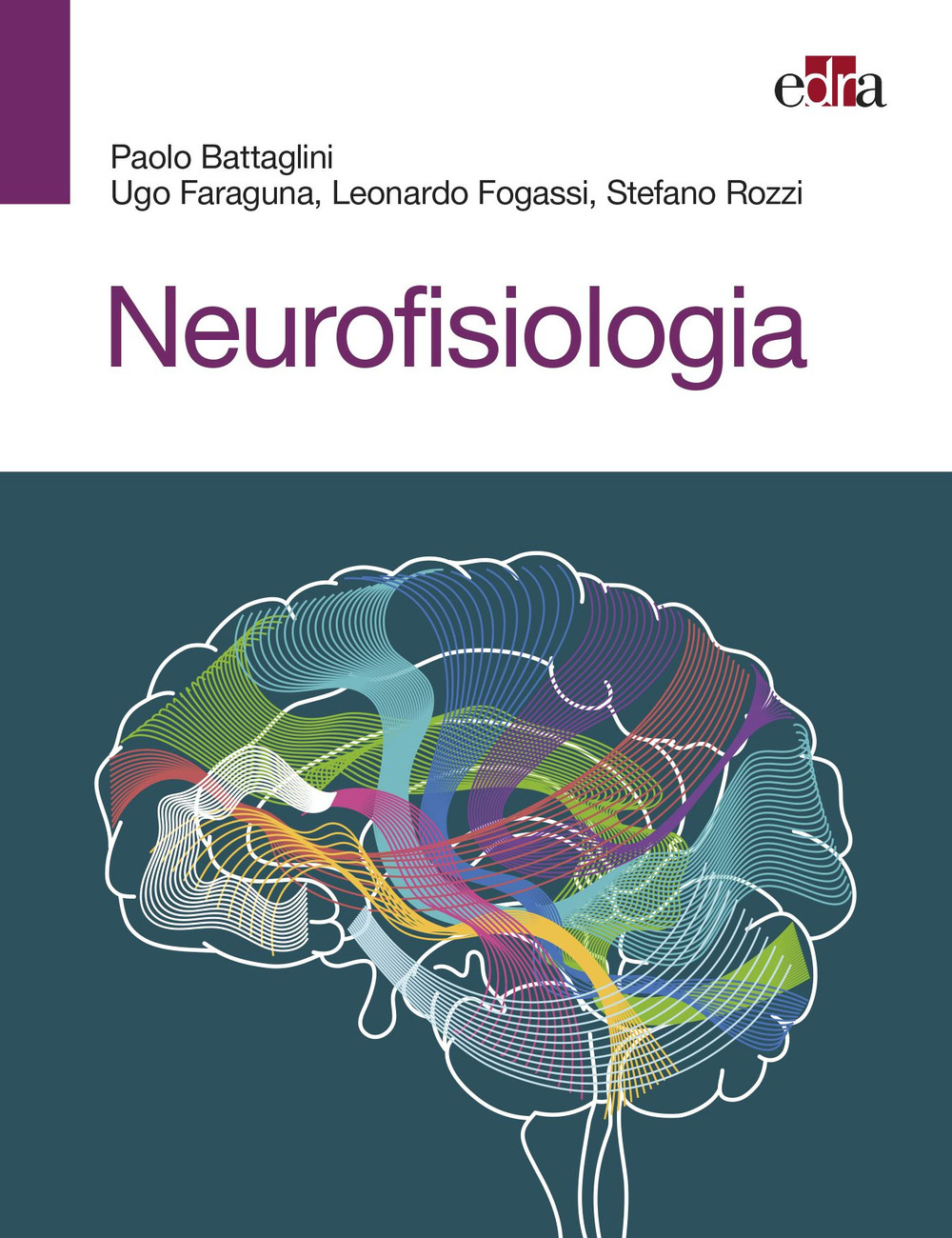 Neurofisiologia