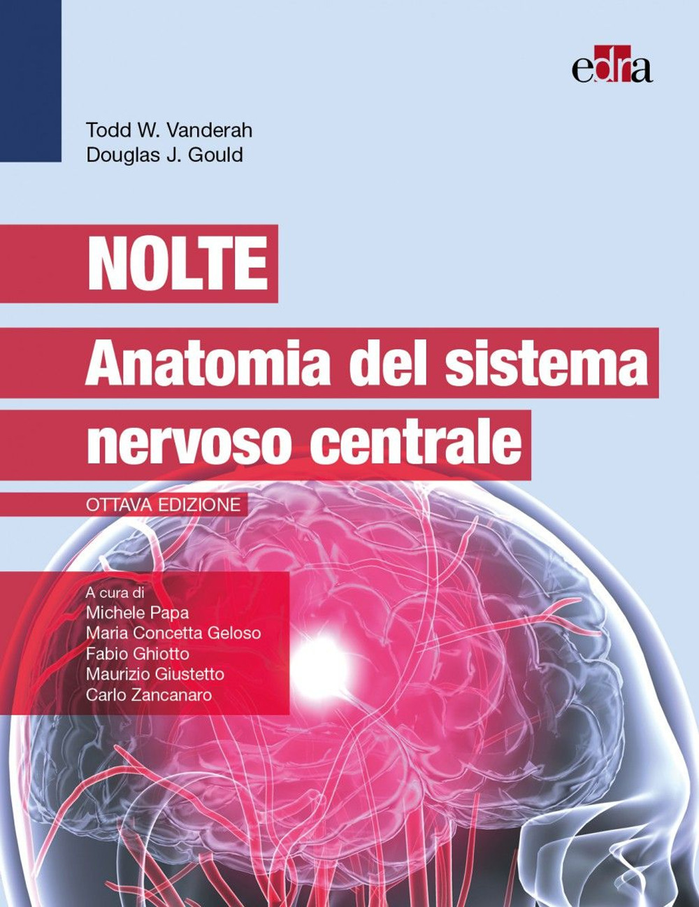 Nolte. Anatomia del sistema nervoso centrale