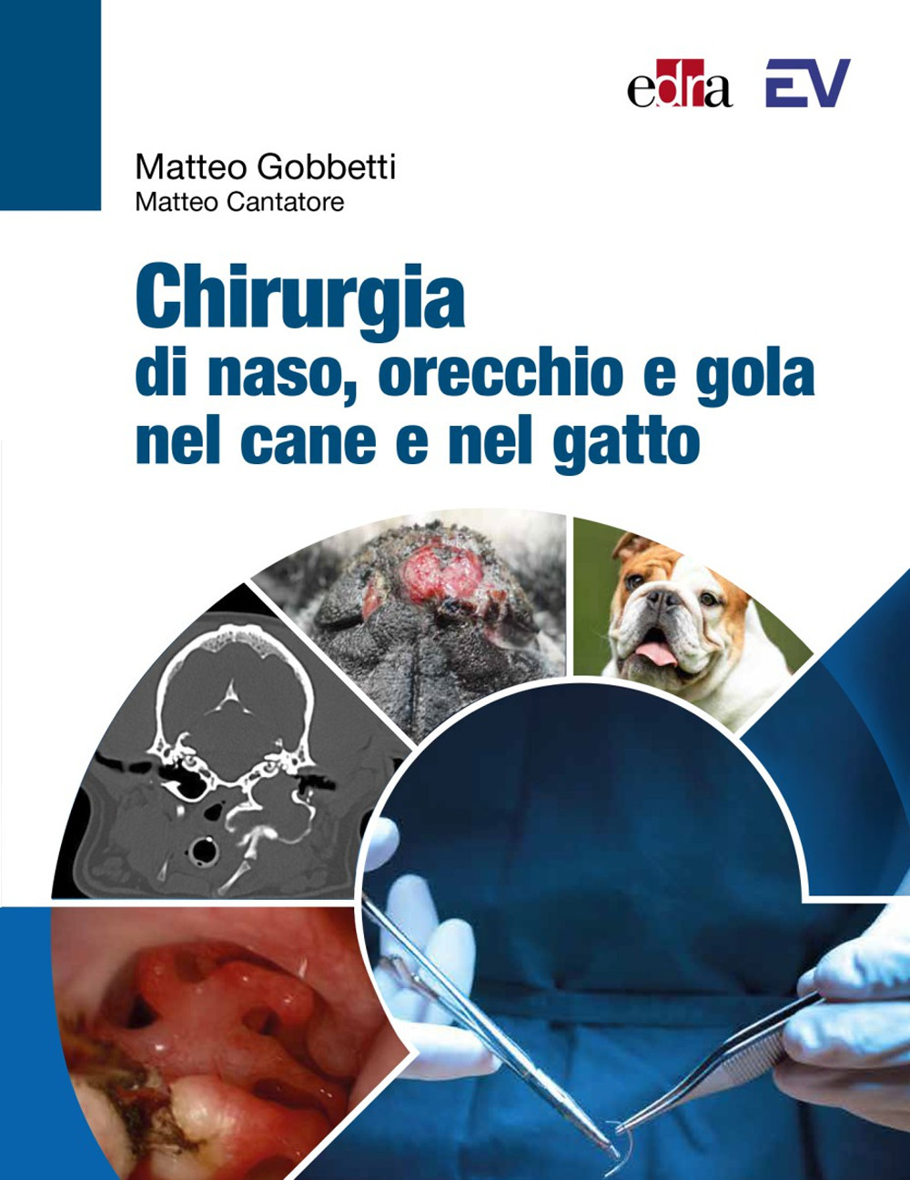 Chirurgia di naso, orecchio e gola nel cane e nel gatto