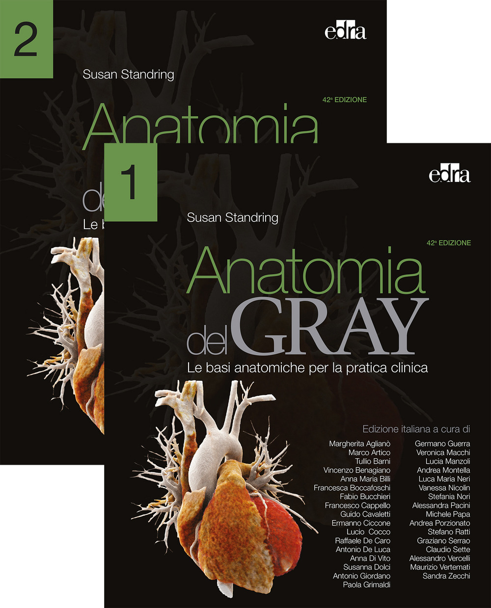 Anatomia del Gray. Le basi anatomiche per la pratica clinica. Vol. 1-2