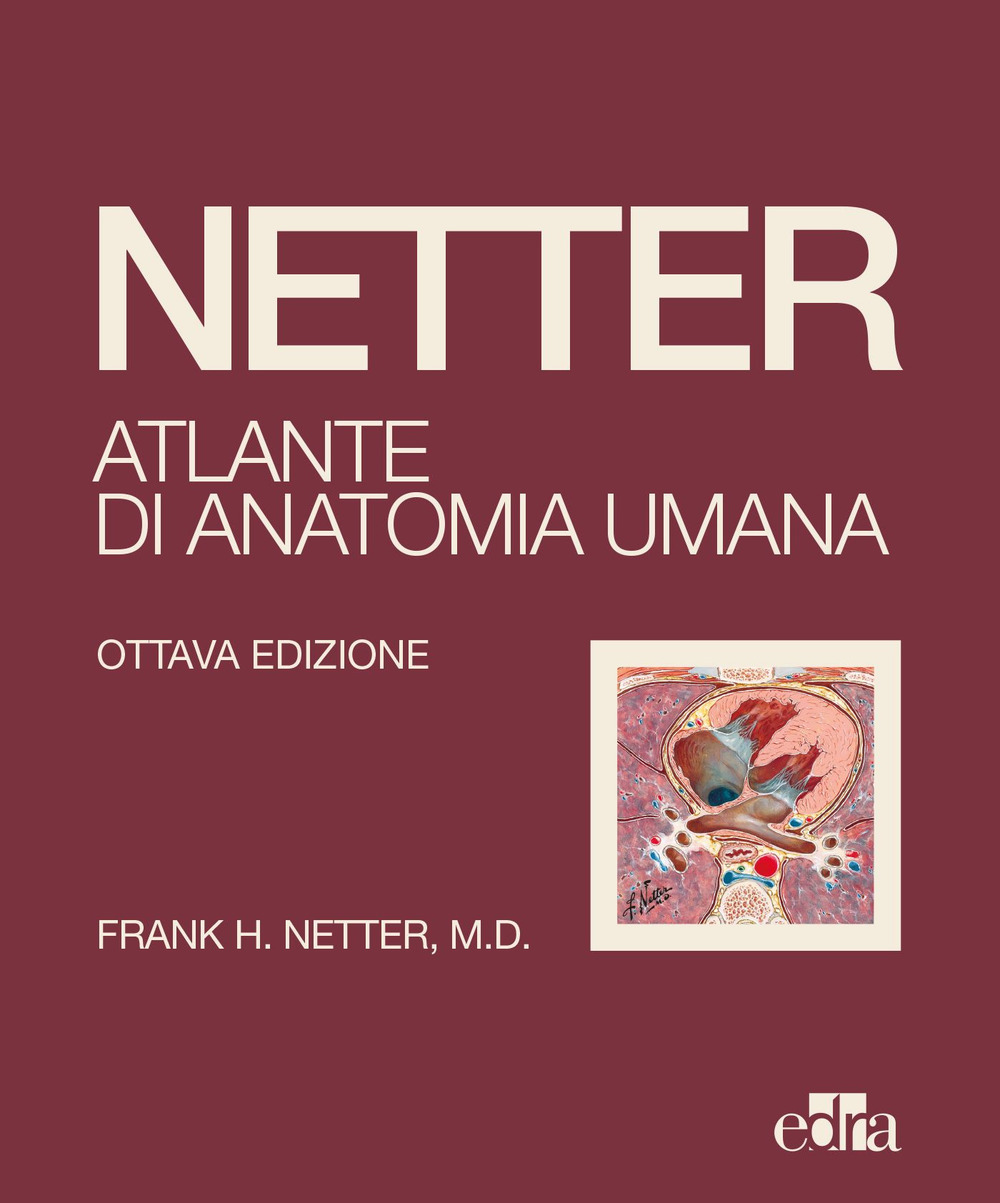 Netter. Atlante di anatomia umana