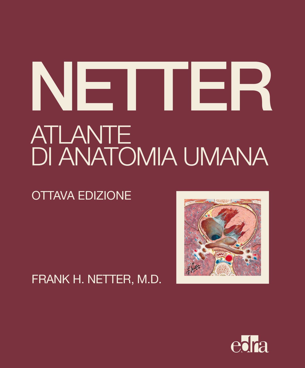 Netter. Atlante di anatomia umana