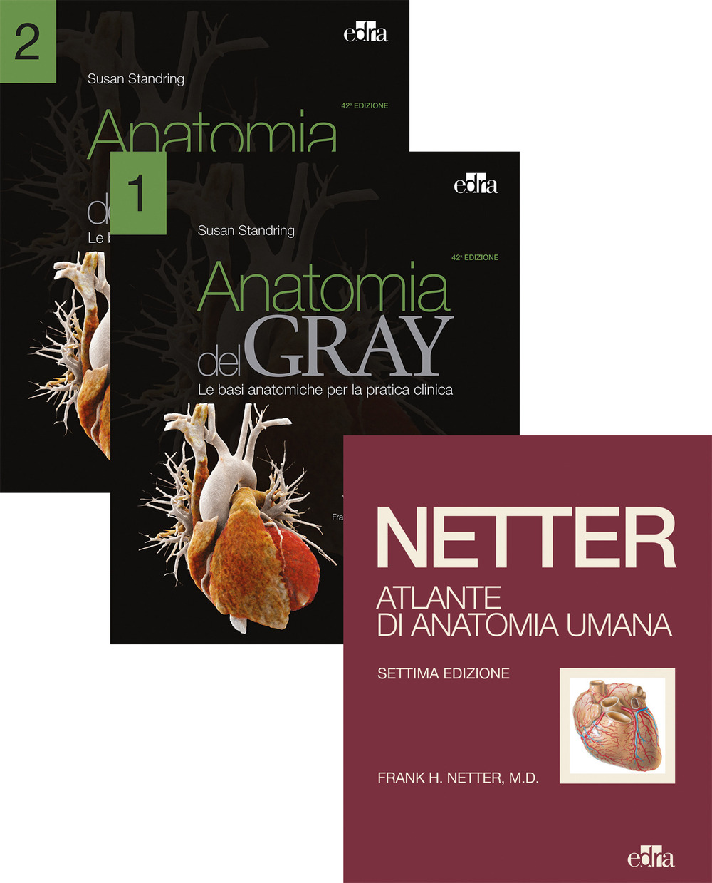 Netter Gray. L'anatomia: Anatomia del Gray-Atlante di anatomia umana di Netter