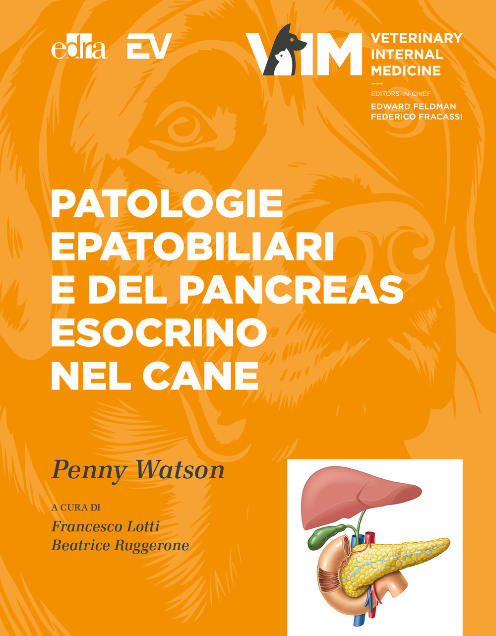 Patologie epatobiliari e del pancreas esocrino nel cane