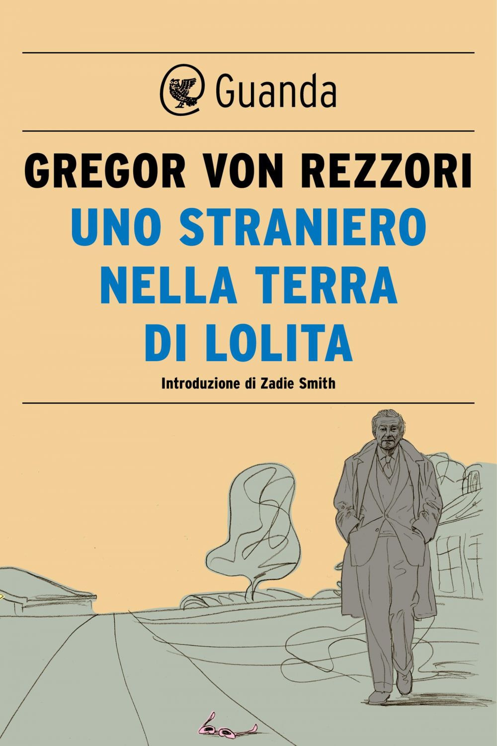 Uno straniero nella terra di Lolita. Nuova ediz.