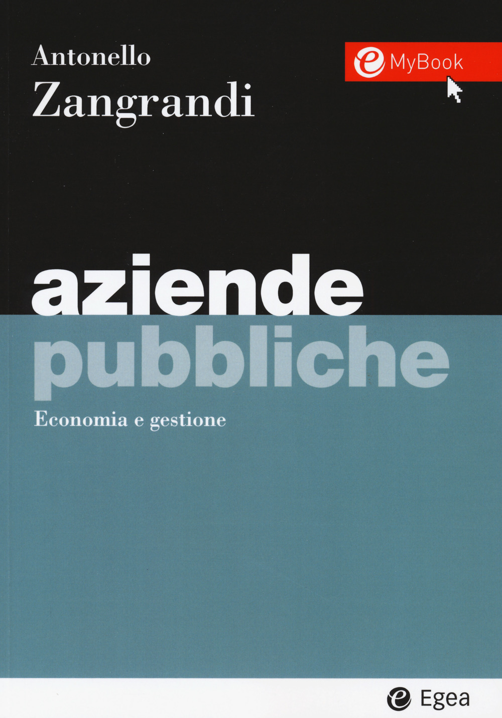 Aziende pubbliche. Economia e gestione. Con Contenuto digitale per accesso online