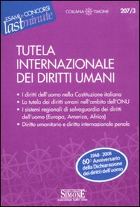 Tutela internazionale dei diritti umani