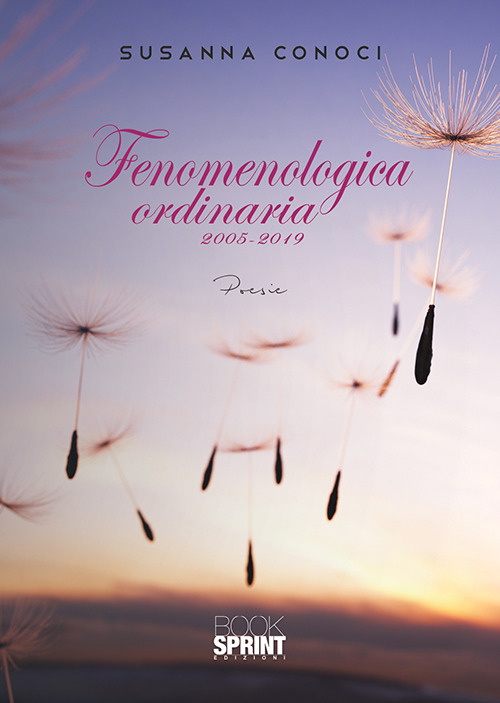 Fenomenologica ordinaria 2005-2019
