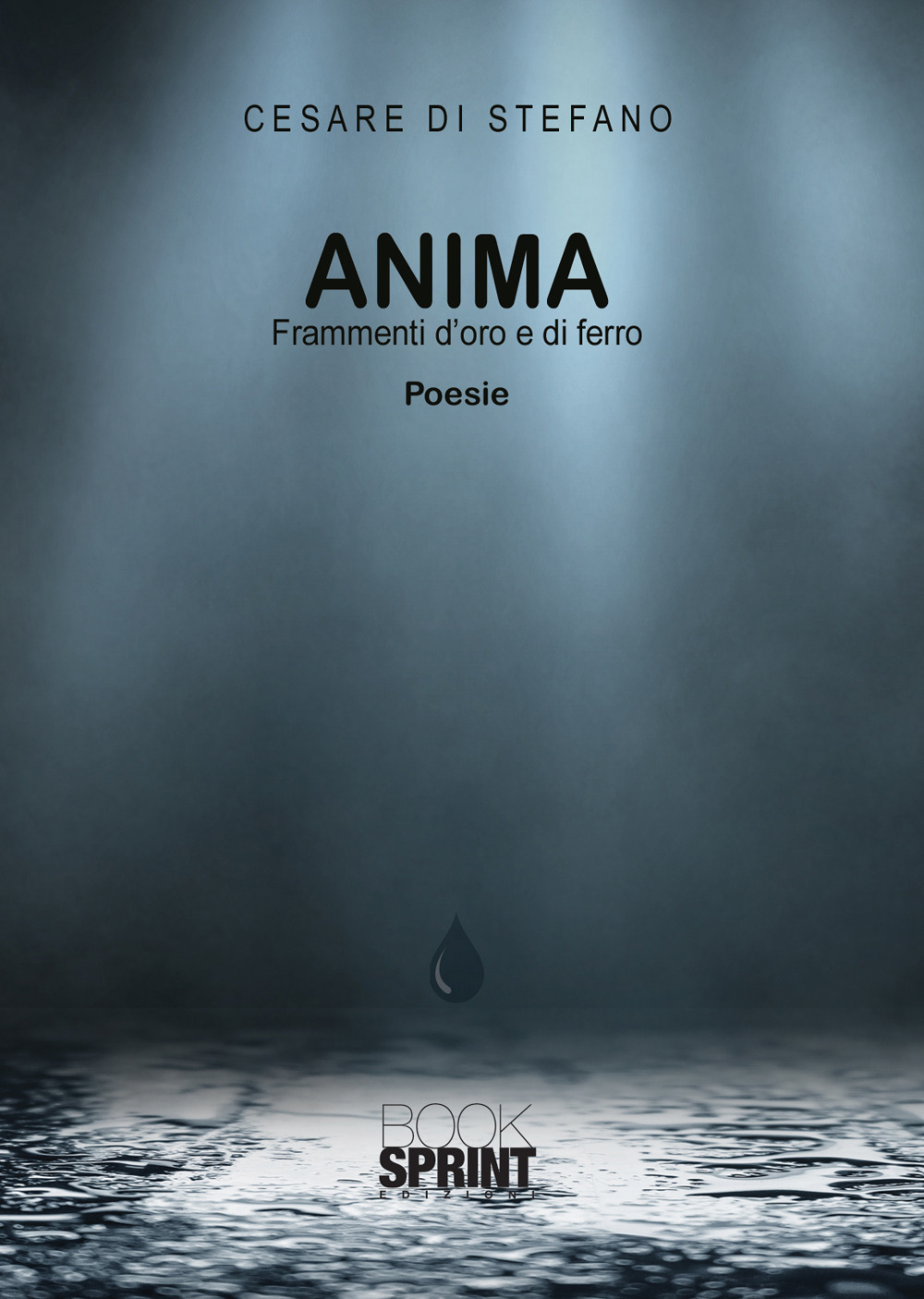 Anima. Frammenti d'oro e di ferro