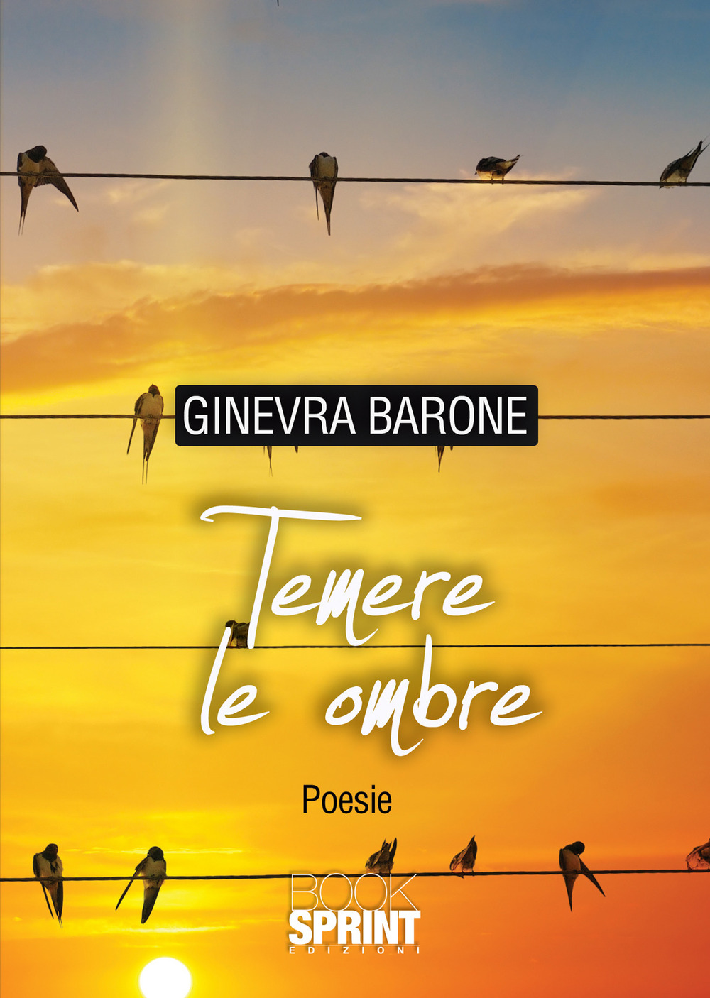 Temere le ombre