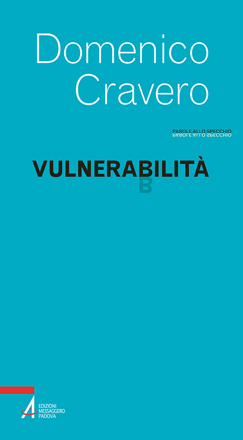 Vulnerabilità